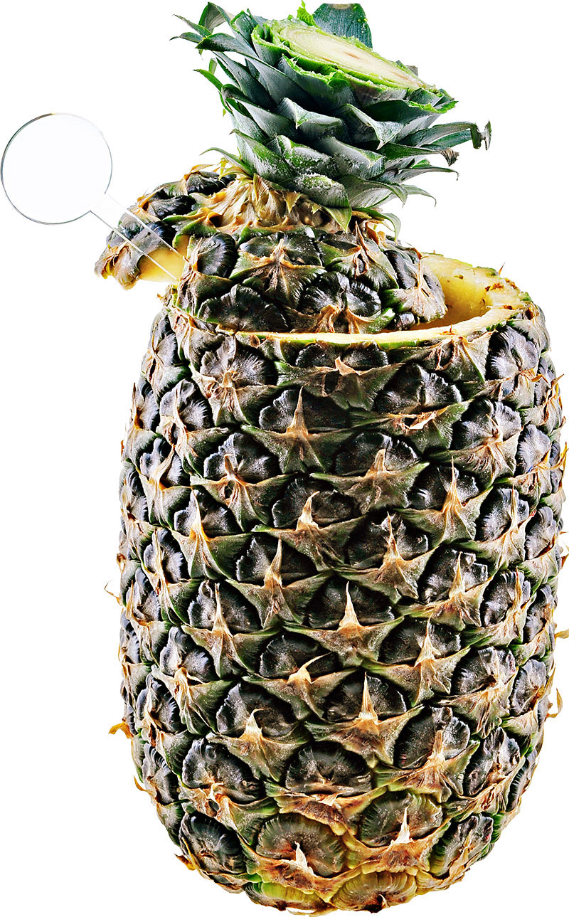 Wie macht man den Pina Colada